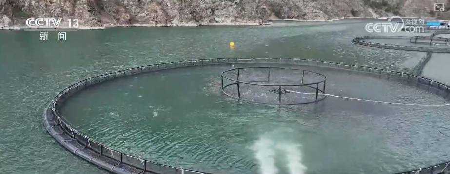 科技“锁鲜”赋能抢“鲜”生意竞速跑 天山脚下美味成百姓餐桌上“常客”