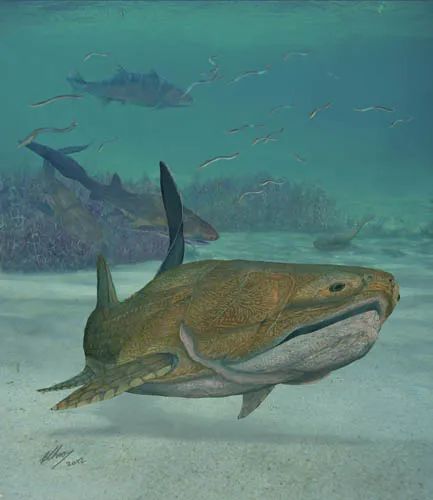 展项拾趣 | 世界上第一条鱼，竟然只有拇指那么大？