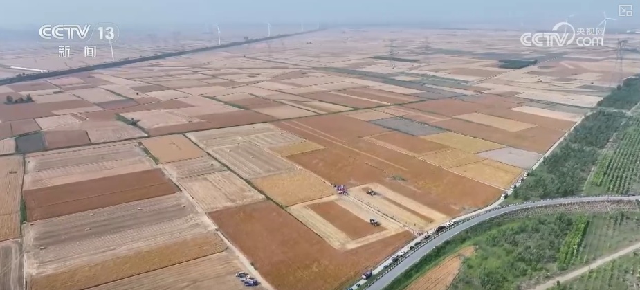 2994.8亿斤、375.6公斤……“数”里行间多维度观察夏粮稳产丰收 2994.8亿斤、375.6公斤……“数”里行间多维度观察夏粮稳产丰收