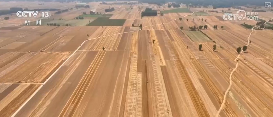 2994.8亿斤、375.6公斤……“数”里行间多维度观察夏粮稳产丰收 2994.8亿斤、375.6公斤……“数”里行间多维度观察夏粮稳产丰收
