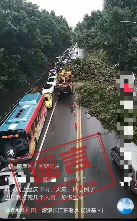 重庆网民龚某,被处罚! 重庆网民龚某,被处罚!