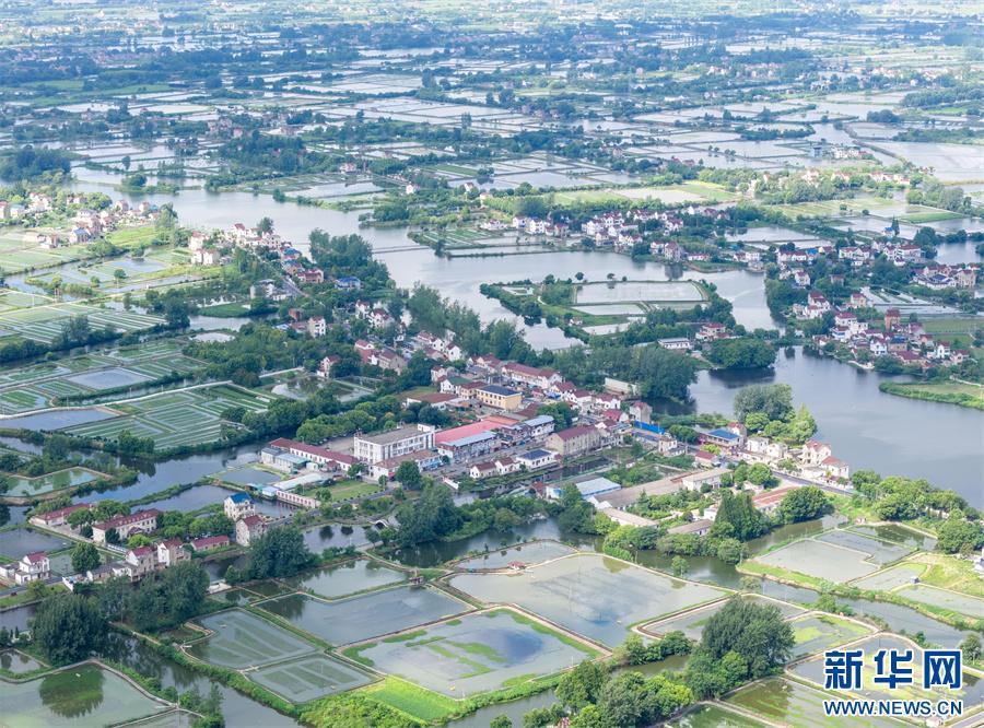 安徽当涂:夏日水乡新画卷 安徽当涂:夏日水乡新画卷