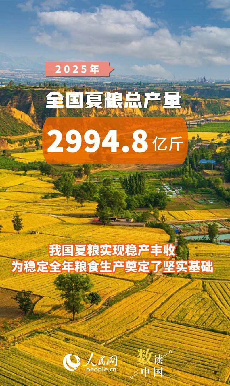 实现稳产丰收！全国夏粮总产量14973.8万吨