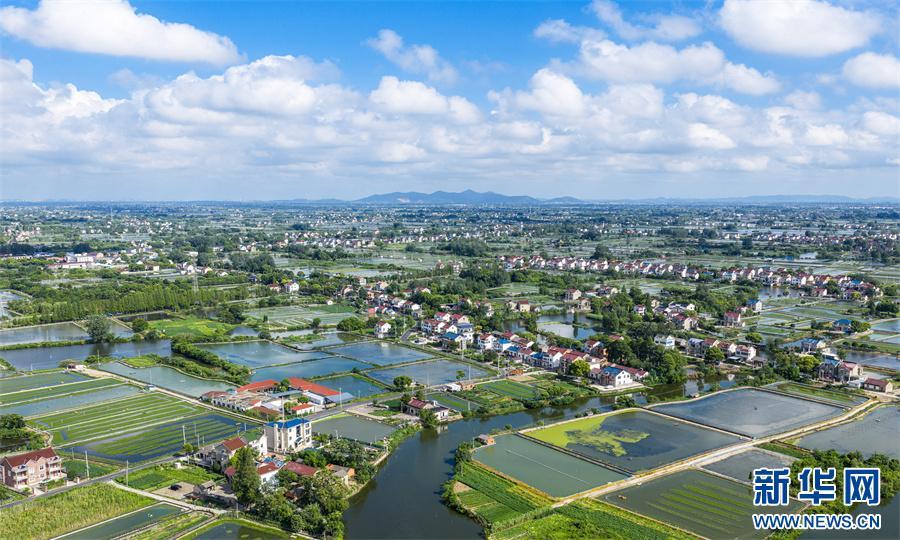 安徽当涂:夏日水乡新画卷 安徽当涂:夏日水乡新画卷