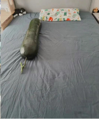 抱冬瓜睡觉走红 医生紧急提醒