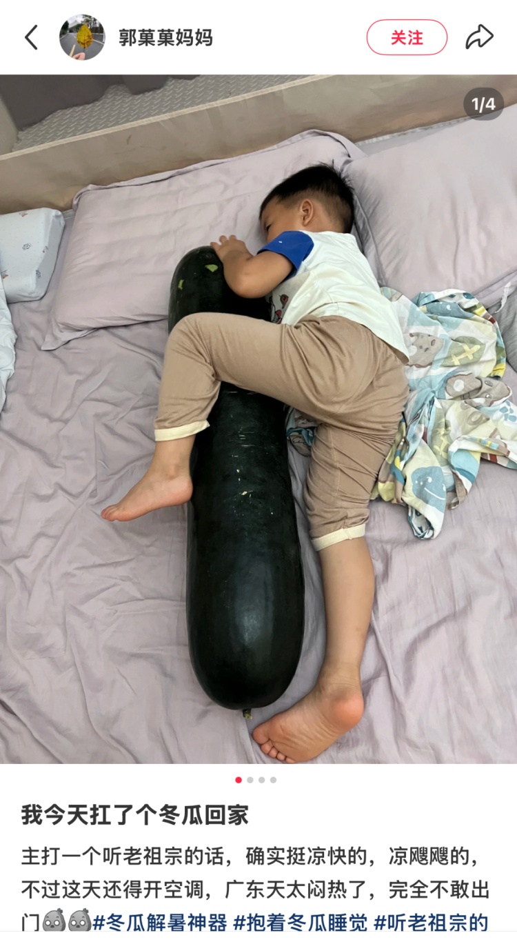 一夜之间,“抱着冬瓜睡觉”突然走红!男子在深圳买28斤冬瓜带回香港 一夜之间,“抱着冬瓜睡觉”突然走红!男子在深圳买28斤冬瓜带回香港
