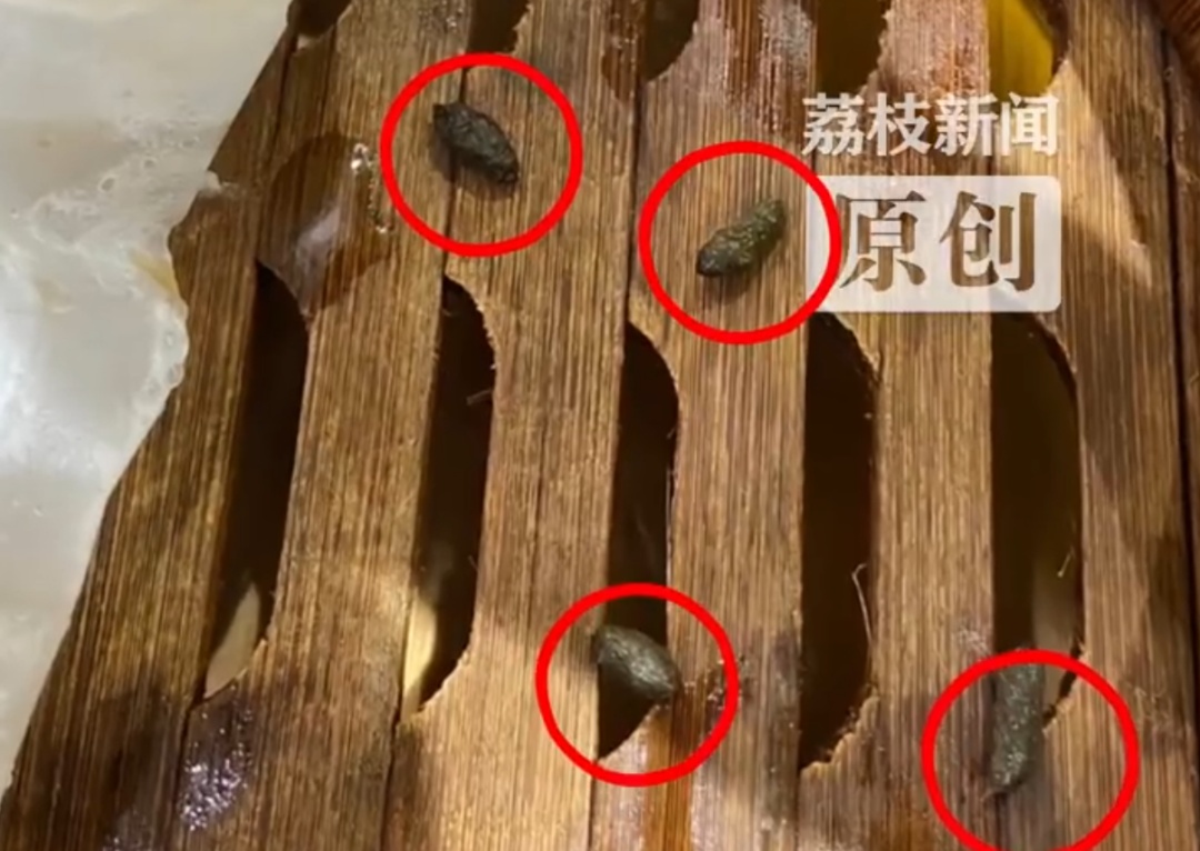 杭州一老字号餐饮被曝发现“老鼠屎”，顾客：快吃完才看到