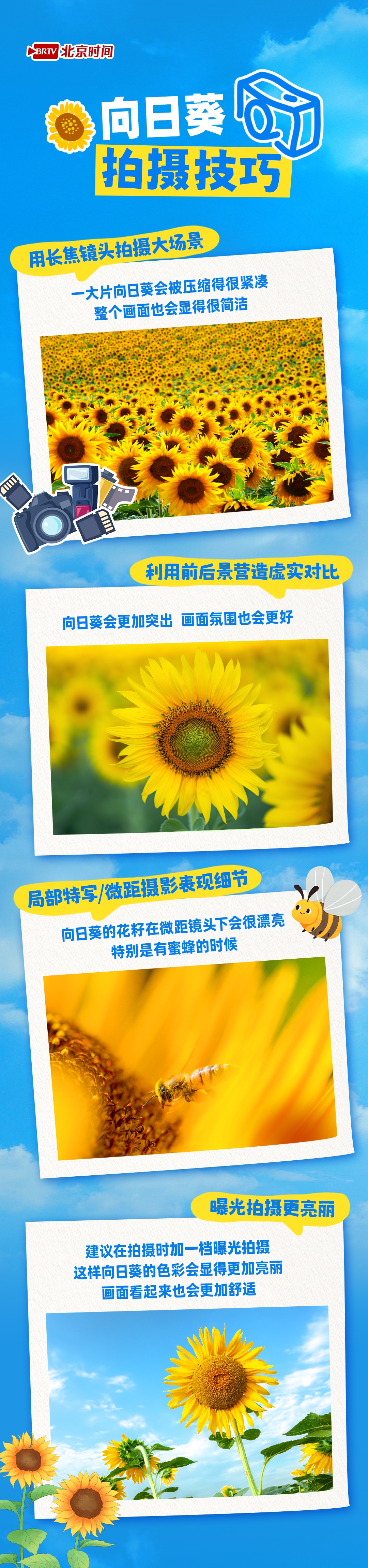 夏日限定 在北京邂逅金色浪漫！