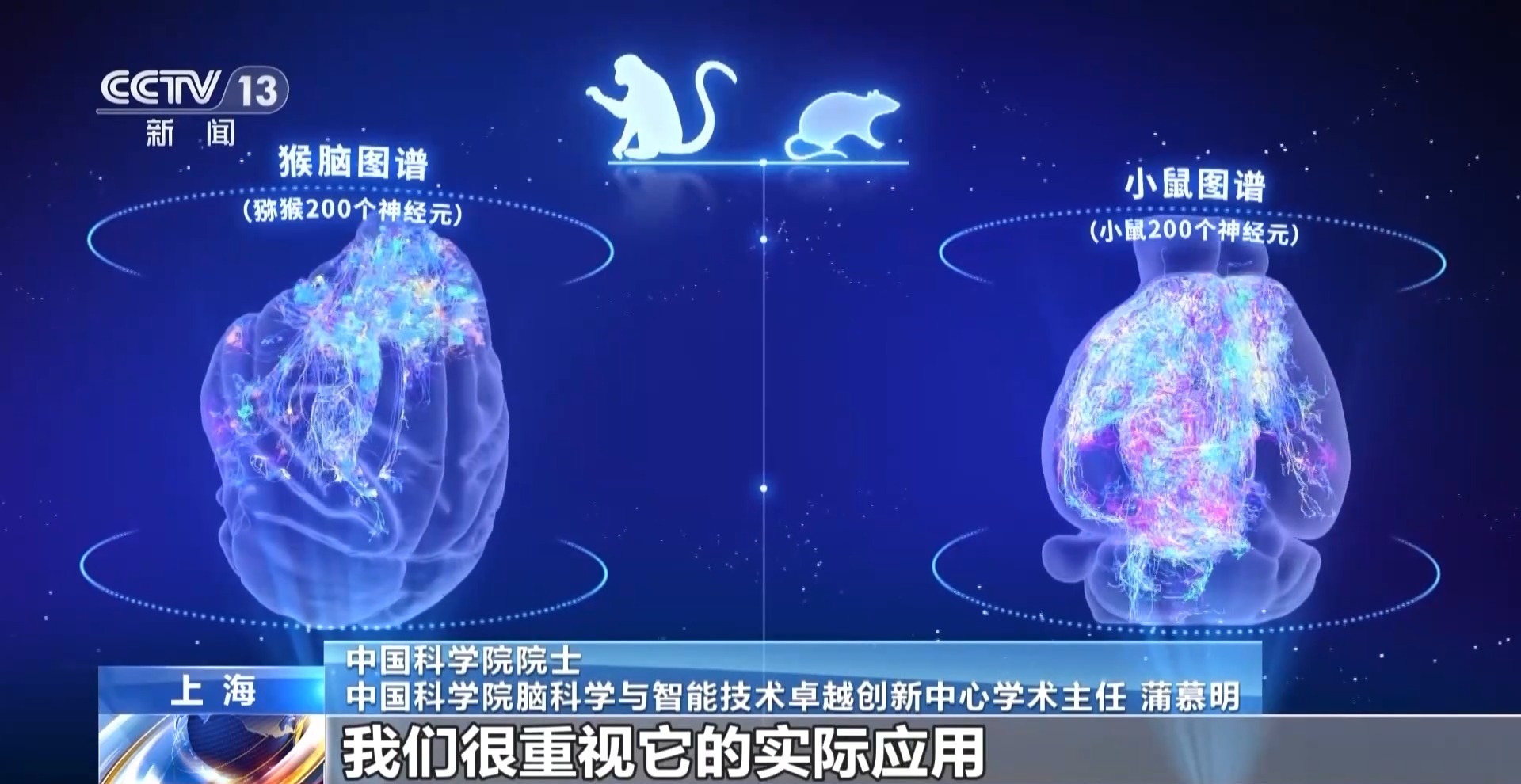 我国脑图谱研究系列成果集中发布 解密人类大脑有了关键手段 我国脑图谱研究系列成果集中发布 解密人类大脑有了关键手段