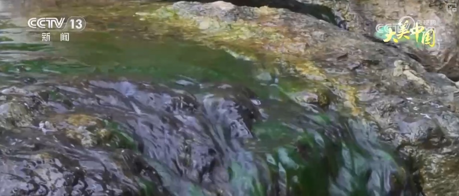 历史文化从典籍走入寻常生活 唤醒“名泉”赴一场跨越千年的生态文化之约