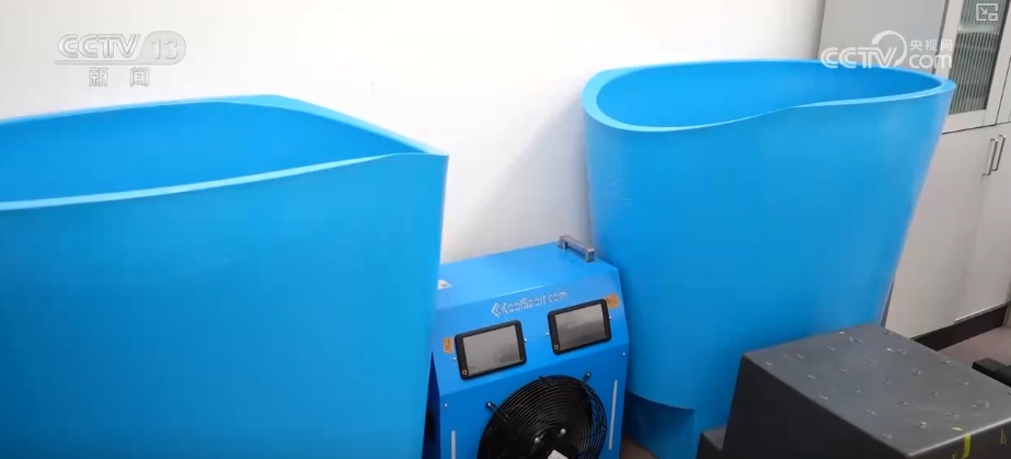 盛夏时节如何安全运动？如何科学、快速降温？解答梳理↓