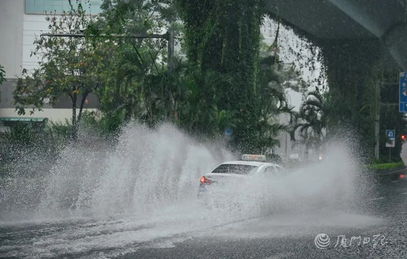 紧急提醒!厦门发布暴雨预警一级!航线停航! 紧急提醒!厦门发布暴雨预警一级!航线停航!
