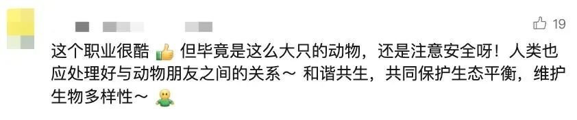 月入过万！一公园带薪“摸鱼”岗全国招聘，无需专业背景，网友：求求你了，让我摸摸