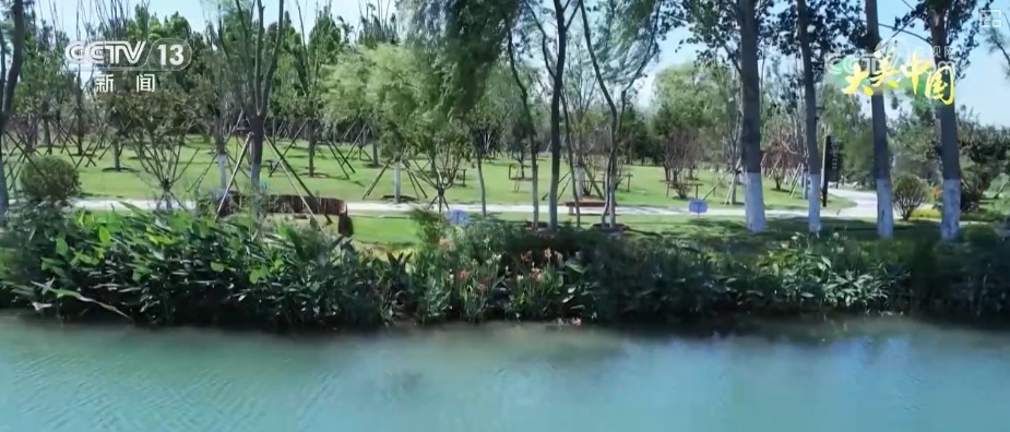 历史文化从典籍走入寻常生活 唤醒“名泉”赴一场跨越千年的生态文化之约