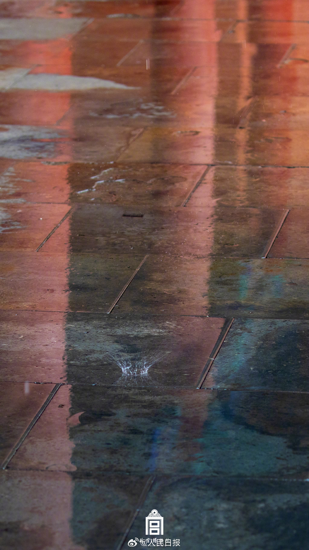 夏日故宫雨后限定美景