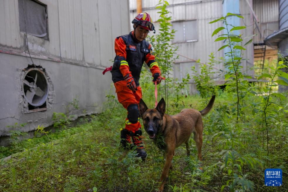 黑龙江开展跨区域抗震救灾综合实战拉动演练