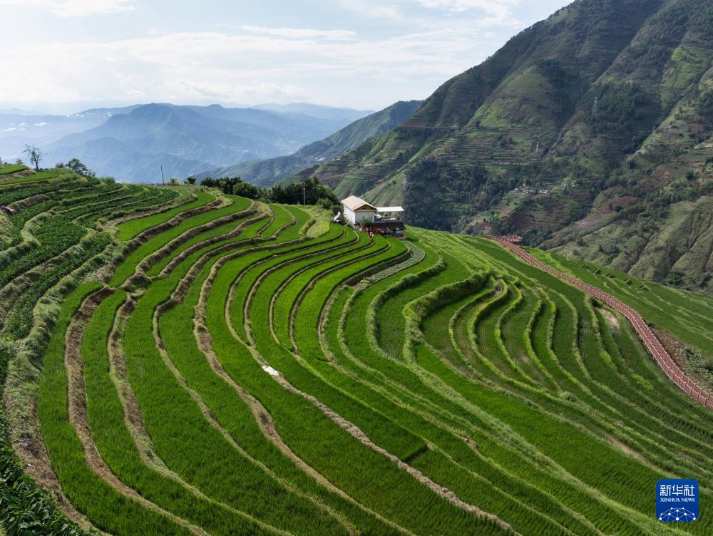 四川安宁河谷：夏日田园美如画