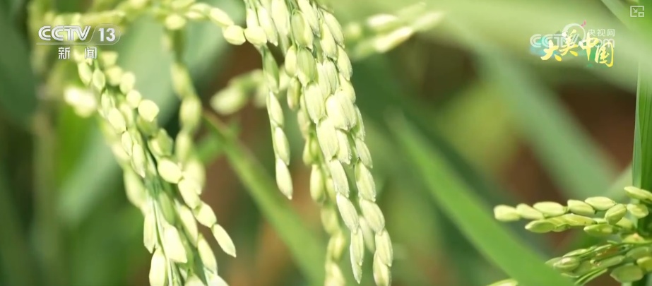 历史文化从典籍走入寻常生活 唤醒“名泉”赴一场跨越千年的生态文化之约