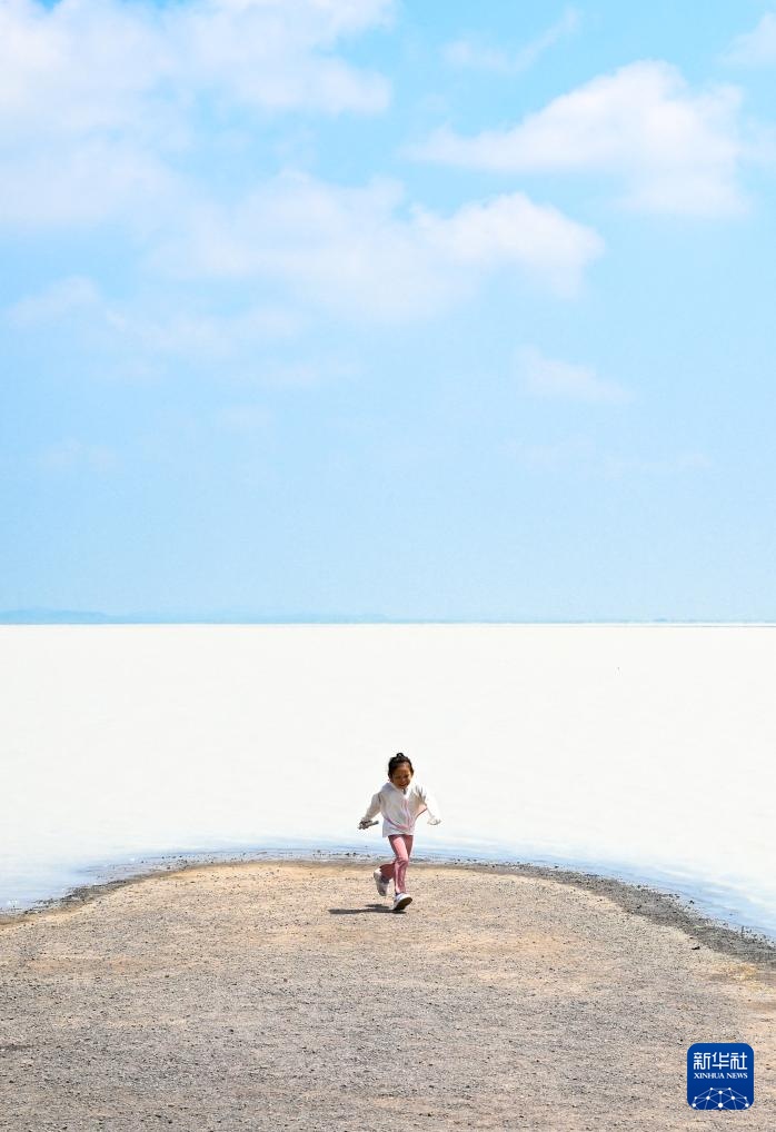 内蒙古太仆寺旗：夏日风光引游人