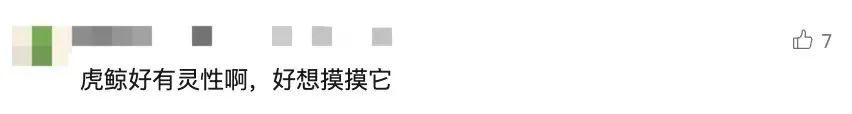 月入过万！一公园带薪“摸鱼”岗全国招聘，无需专业背景，网友：求求你了，让我摸摸