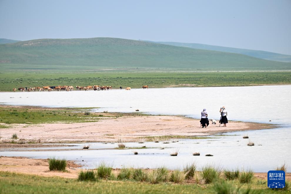 内蒙古太仆寺旗：夏日风光引游人