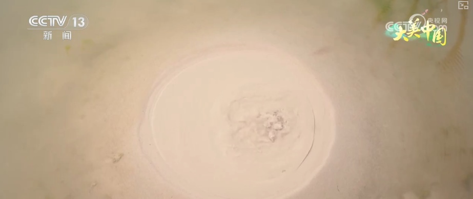 历史文化从典籍走入寻常生活 唤醒“名泉”赴一场跨越千年的生态文化之约