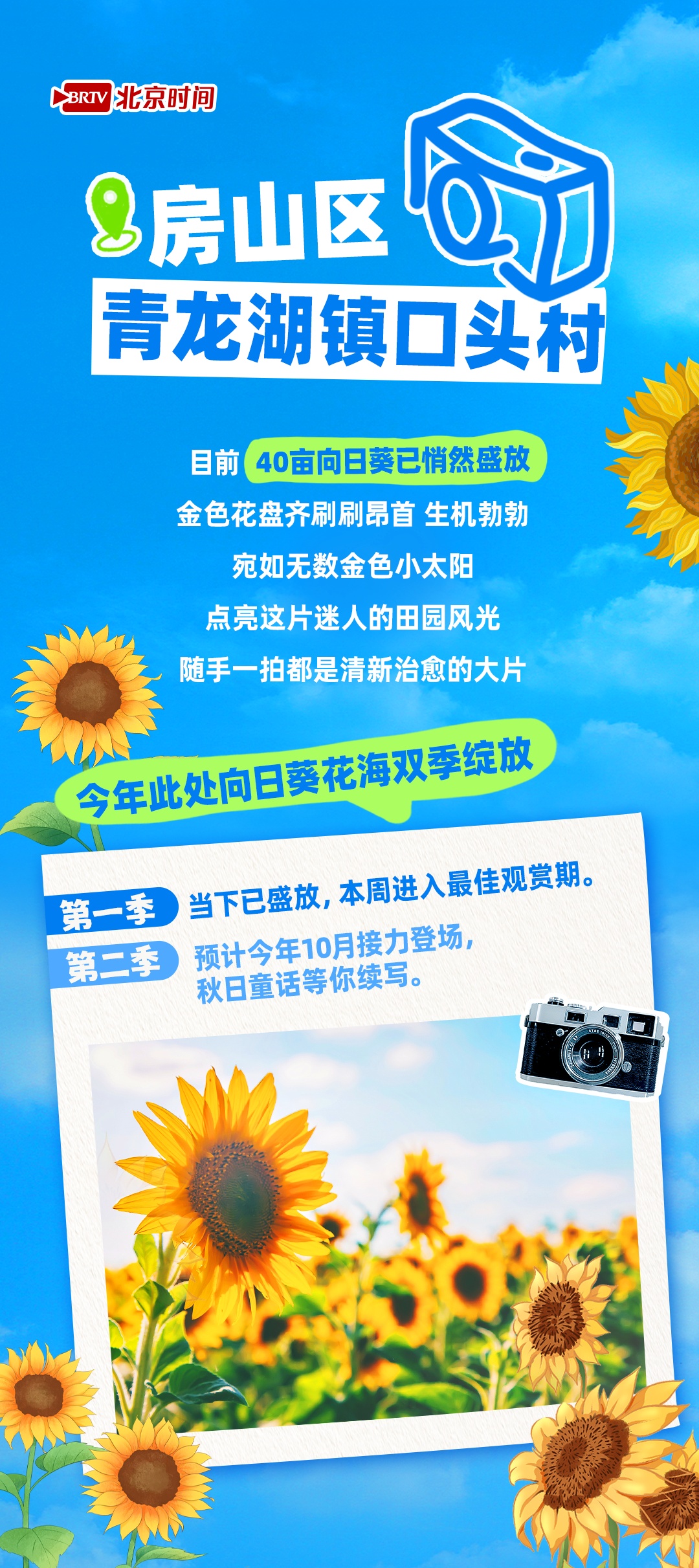 夏日限定 在北京邂逅金色浪漫！