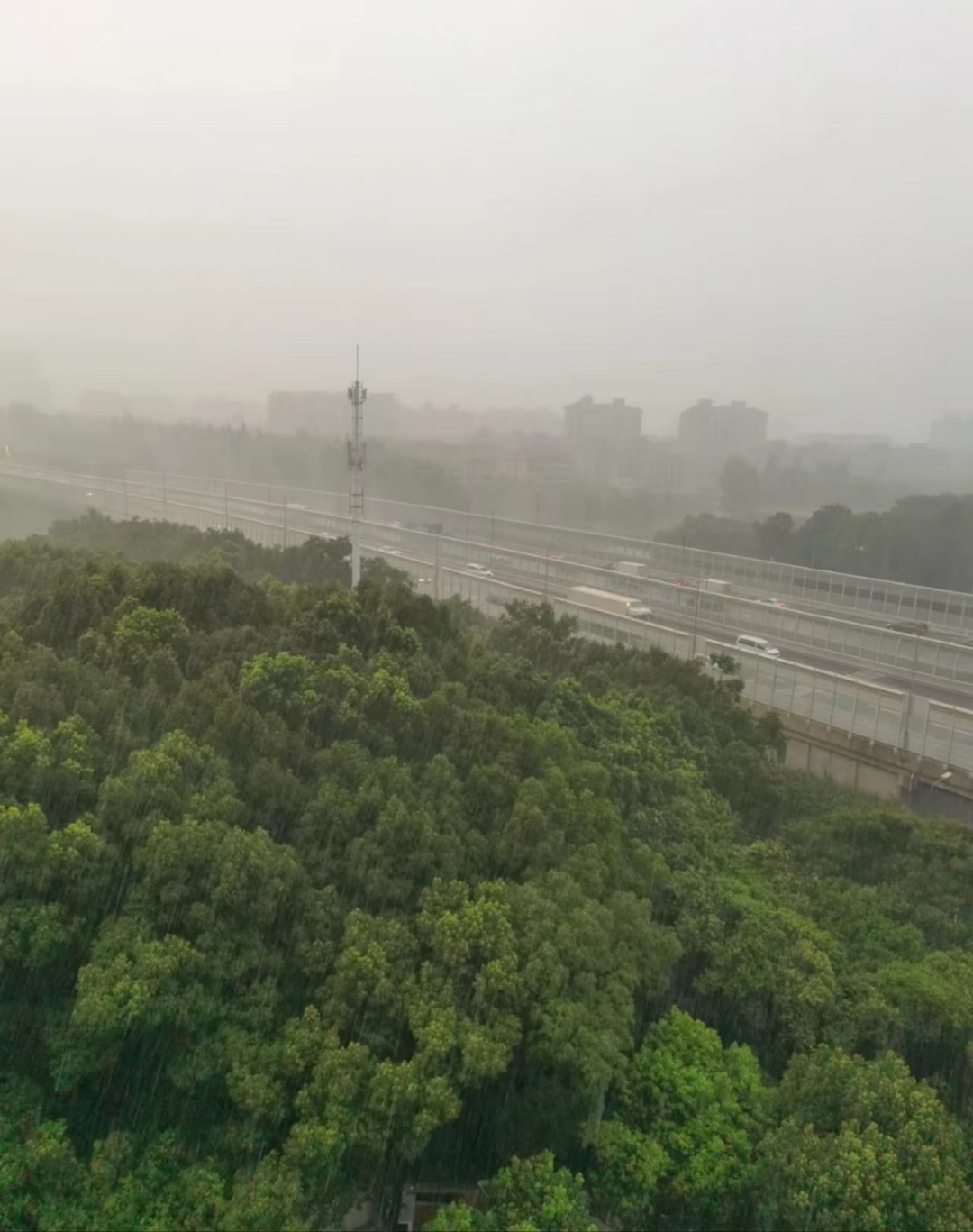 40℃+!超持久高温天明日到货,河南人将被生生“蒸”服 40℃+!超持久高温天明日到货,河南人将被生生“蒸”服