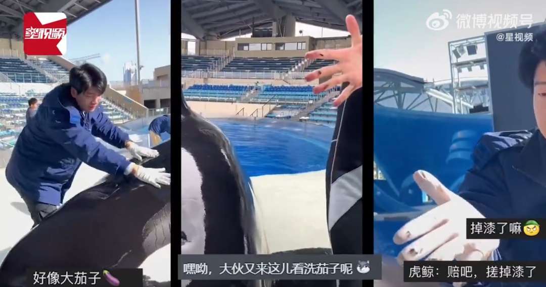 上海急招全职"搓澡工"，月入过万！网友心动：想报名