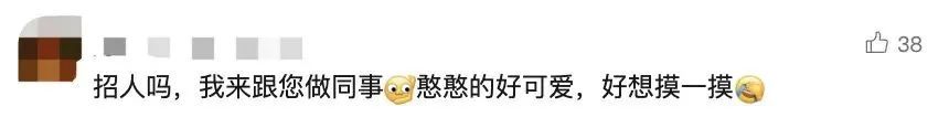 月入过万！一公园带薪“摸鱼”岗全国招聘，无需专业背景，网友：求求你了，让我摸摸