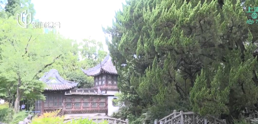 上海知名公园发闭园公告！百年园林即将按下"暂停键"