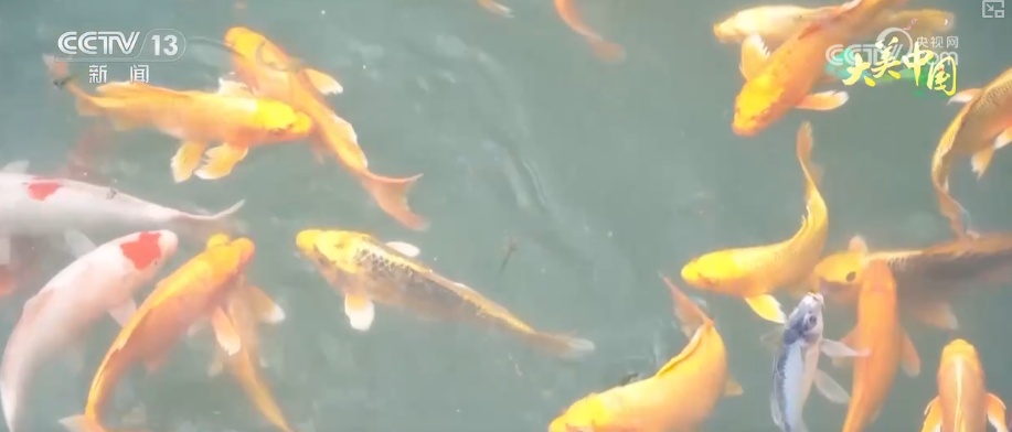 历史文化从典籍走入寻常生活 唤醒“名泉”赴一场跨越千年的生态文化之约