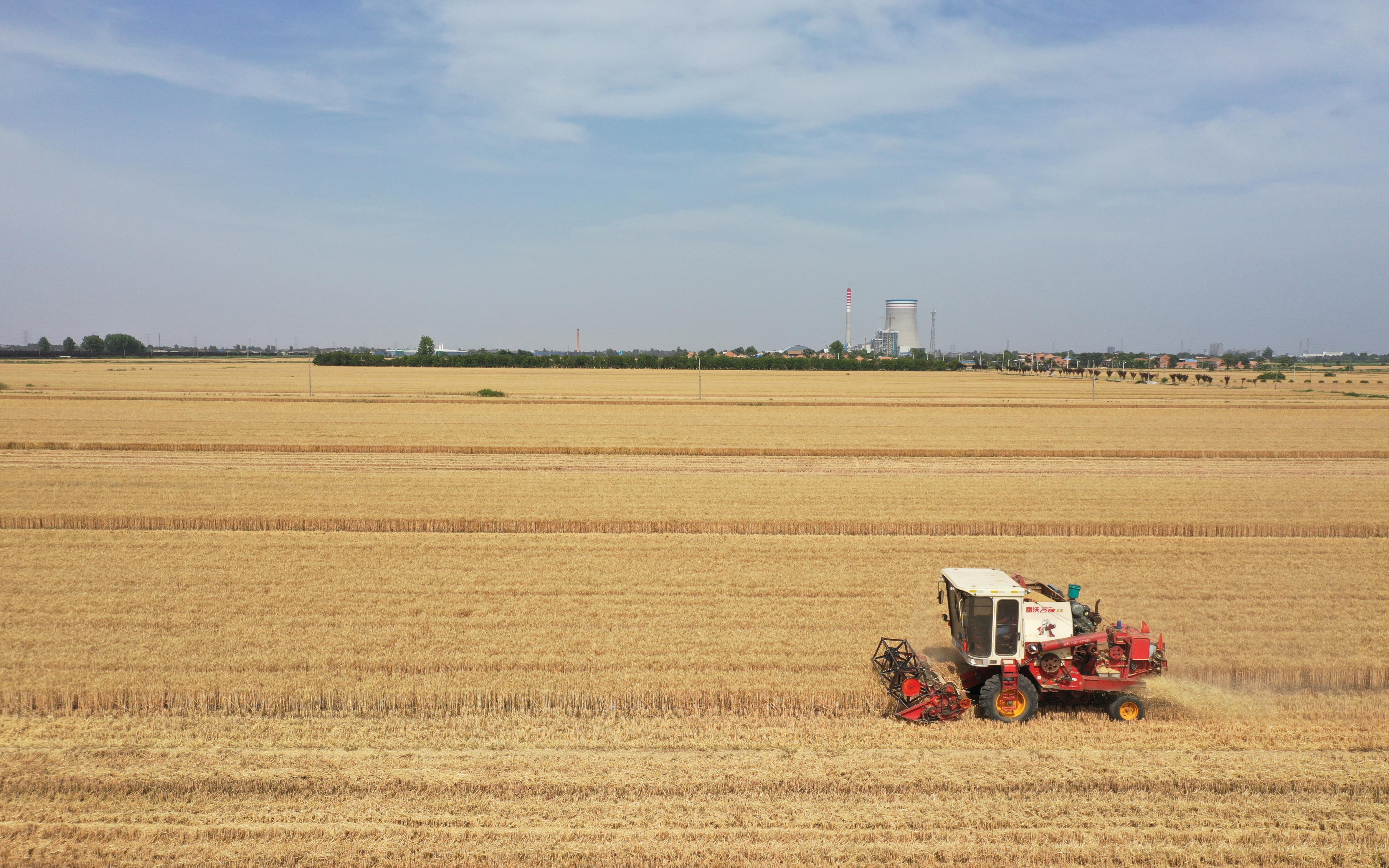 面对干旱,夏粮何以稳产丰收 面对干旱,夏粮何以稳产丰收