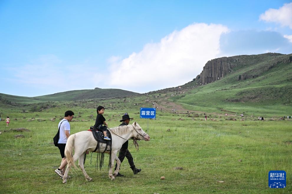 内蒙古太仆寺旗：夏日风光引游人