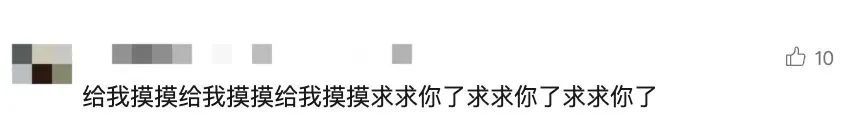 月入过万！一公园带薪“摸鱼”岗全国招聘，无需专业背景，网友：求求你了，让我摸摸