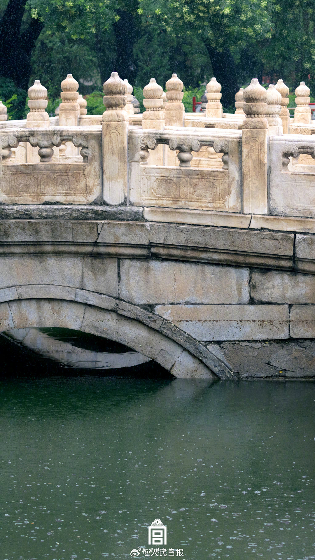 夏日故宫雨后限定美景