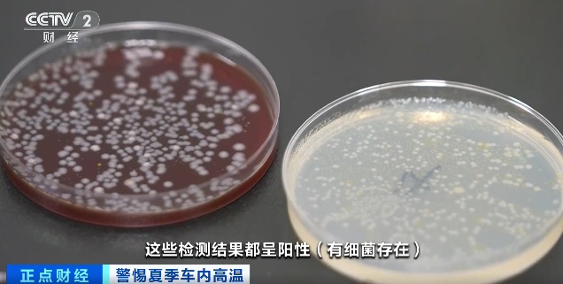 高温暴晒！车里的隔夜水可别喝了！