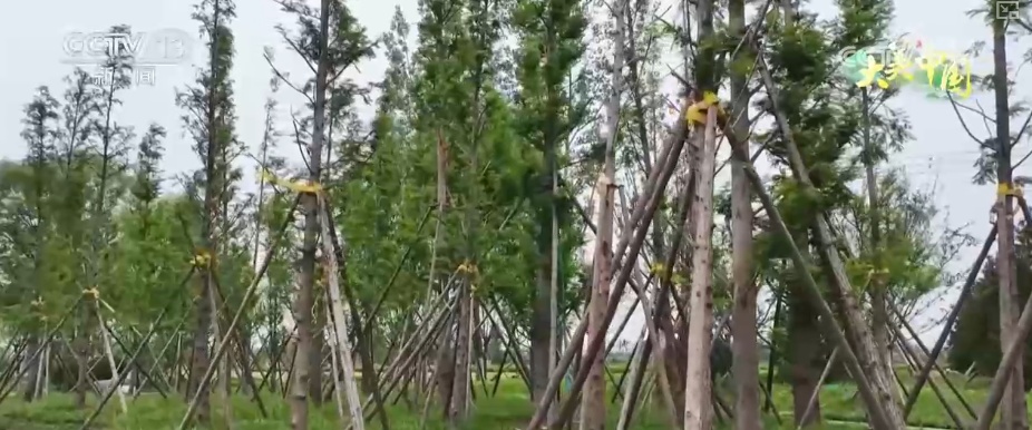 历史文化从典籍走入寻常生活 唤醒“名泉”赴一场跨越千年的生态文化之约