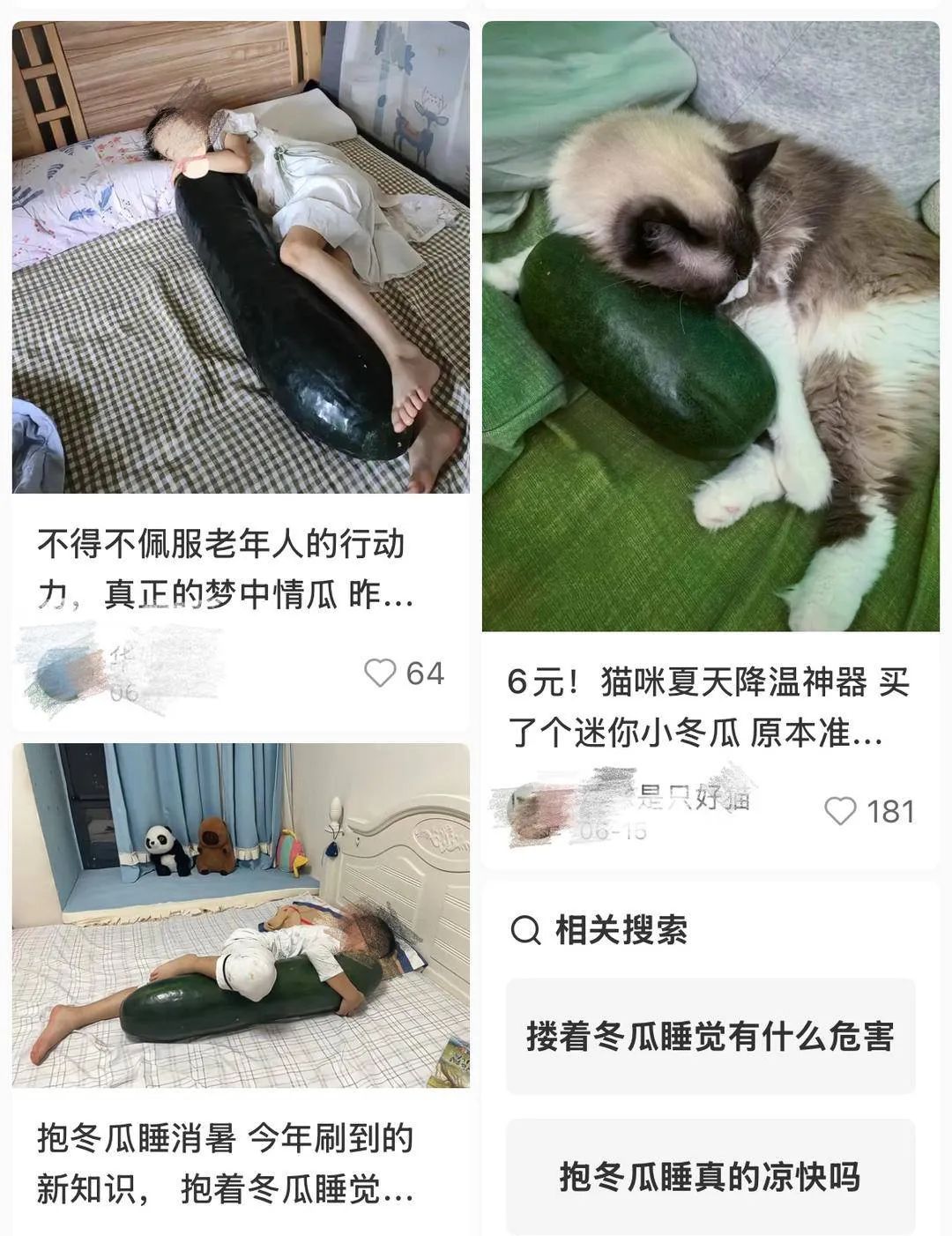 “抱冬瓜睡觉”赛过空调?专家:能降温,但不是谁都能用 “抱冬瓜睡觉”赛过空调?专家:能降温,但不是谁都能用