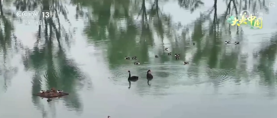 历史文化从典籍走入寻常生活 唤醒“名泉”赴一场跨越千年的生态文化之约