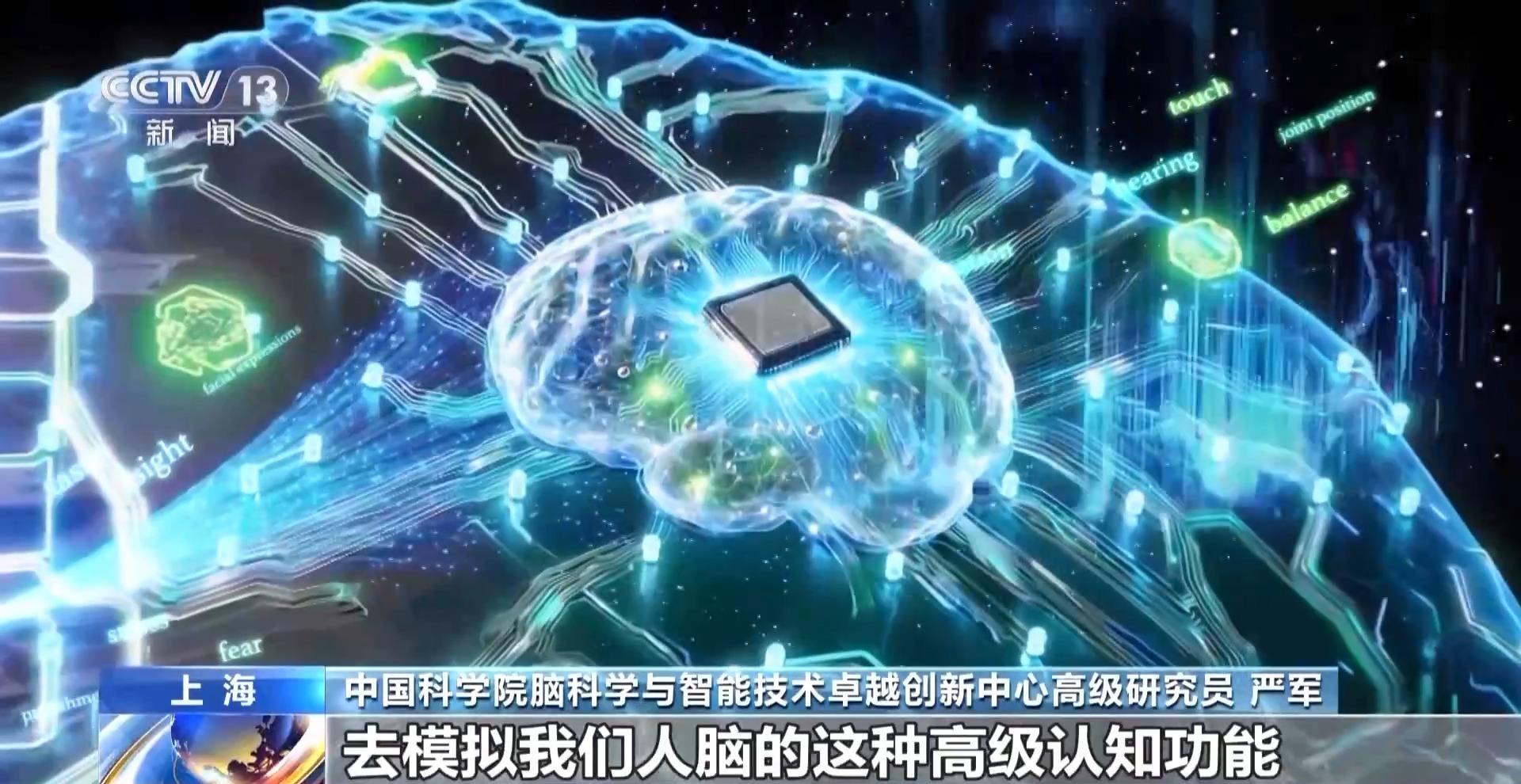 我国脑图谱研究系列成果集中发布 解密人类大脑有了关键手段 我国脑图谱研究系列成果集中发布 解密人类大脑有了关键手段