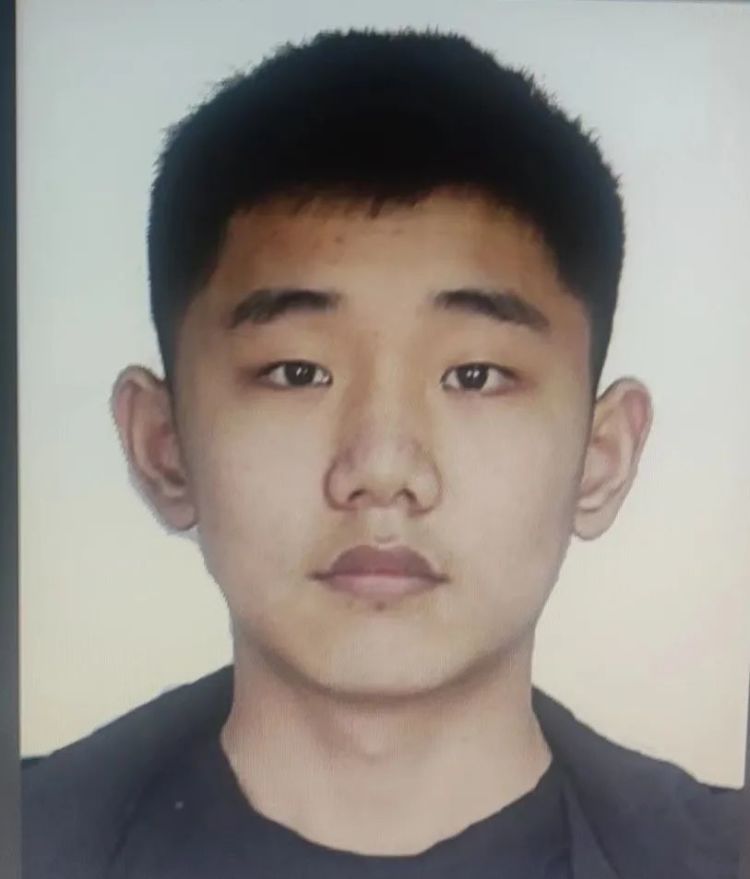 山东省东平县人民法院悬赏公告：陈苇、吴瀚，被公开悬赏！