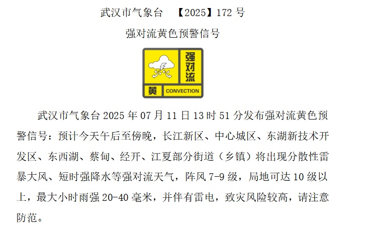 武汉：短时强降水+10级大风来袭！下班赶紧回家