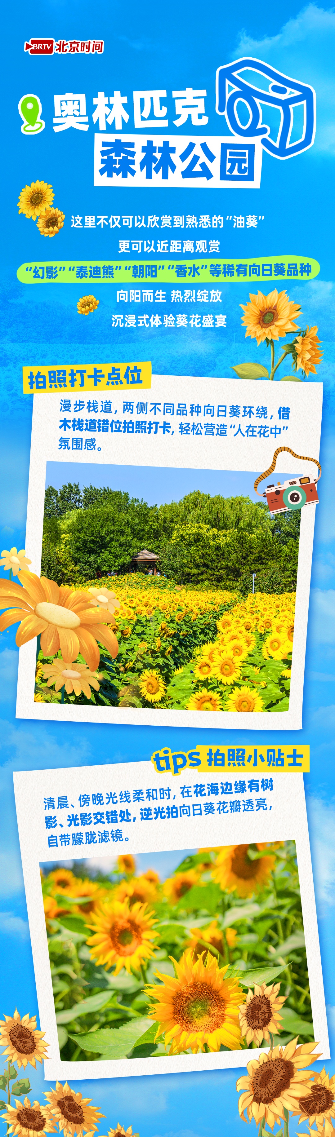 夏日限定 在北京邂逅金色浪漫！