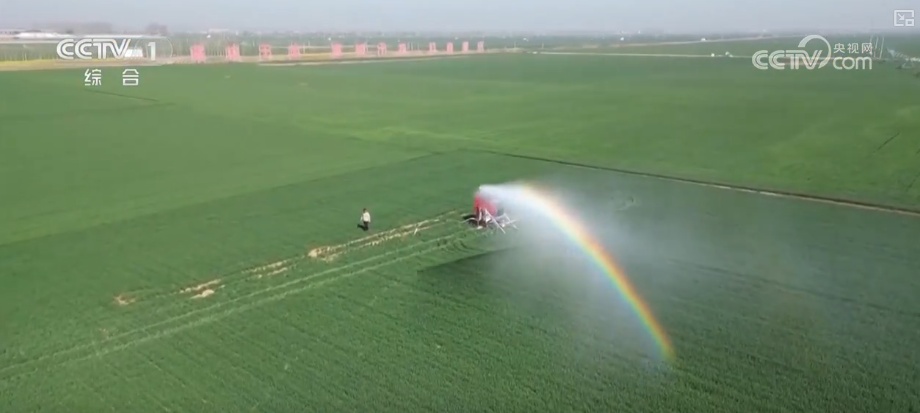 经济向好、出口亮眼、潮玩火热……活力值拉满！多维度透视经济澎湃动力