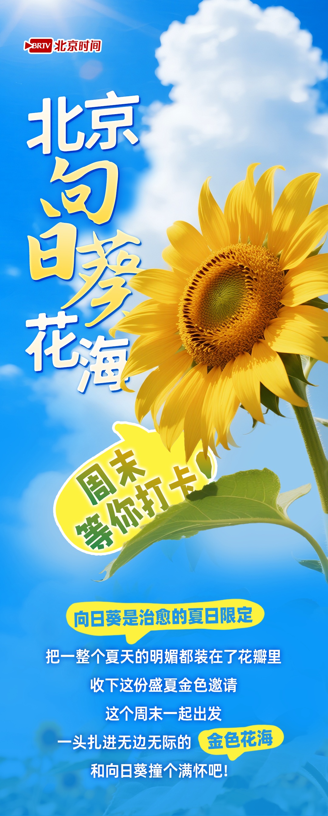 夏日限定 在北京邂逅金色浪漫！