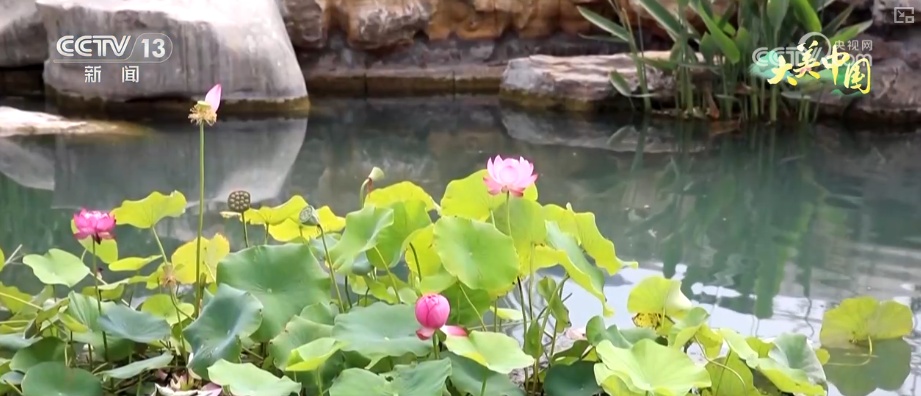 历史文化从典籍走入寻常生活 唤醒“名泉”赴一场跨越千年的生态文化之约