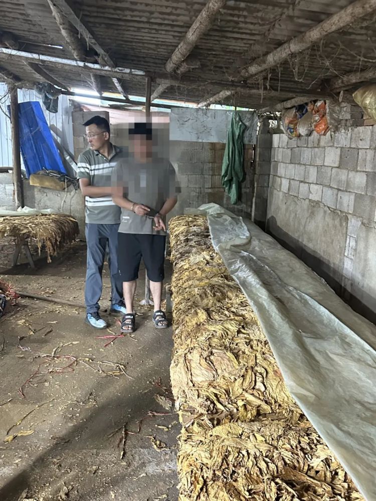 全链条打击，11人落网！内蒙古一地警方破获特大非法经营烟丝案