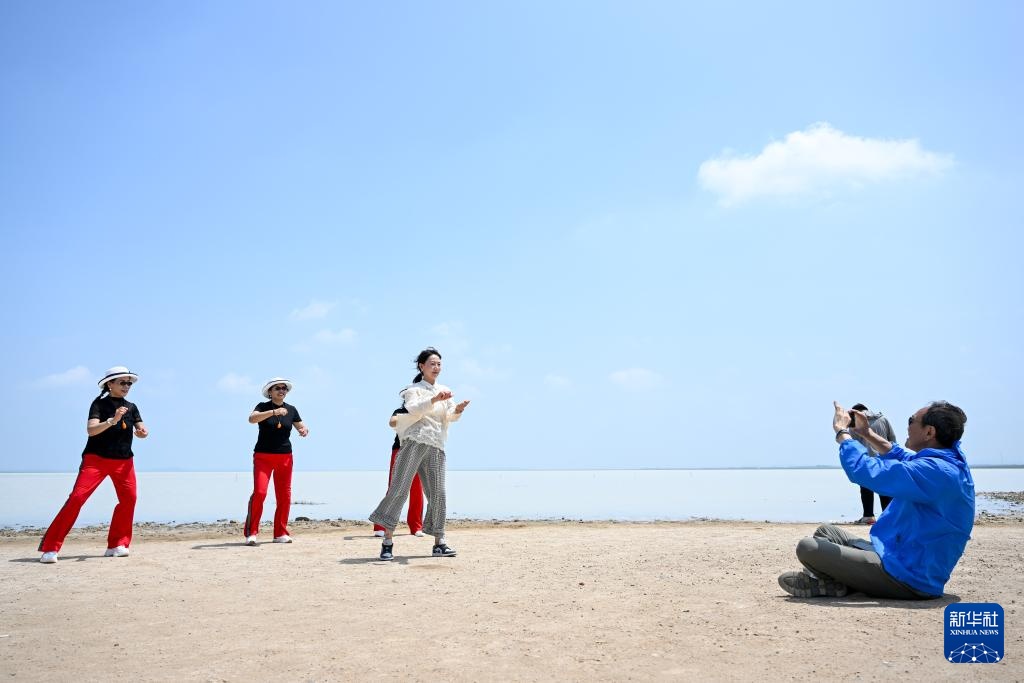 内蒙古太仆寺旗：夏日风光引游人
