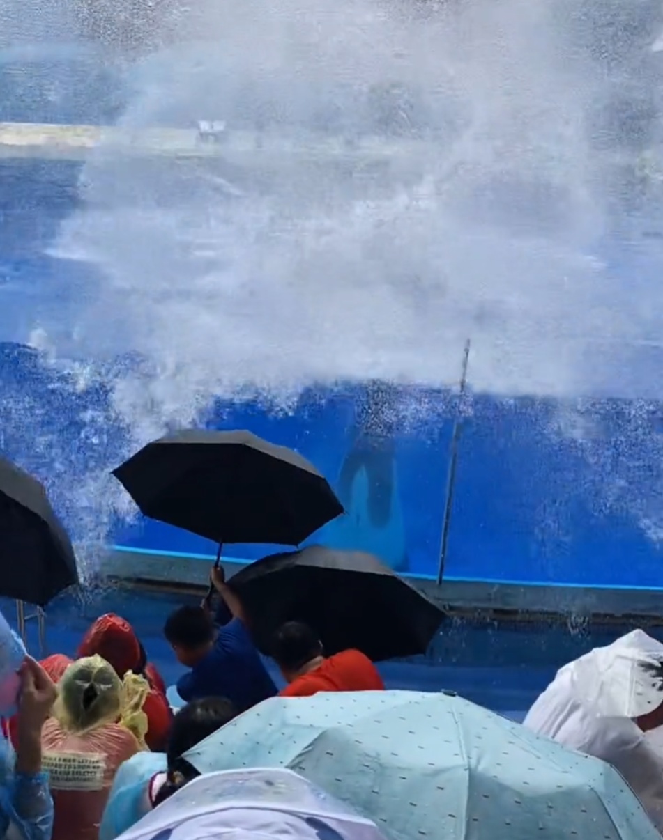 上海急招全职"搓澡工"，月入过万！网友心动：想报名